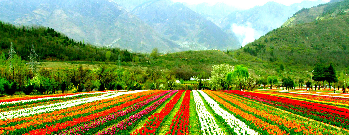 kashmir holiday packages from pune