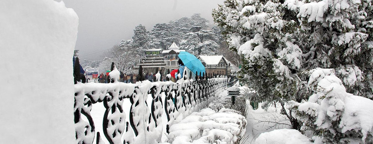 shimla manali holiday package from pune